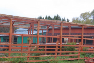 The wolf enclosure at Nova’s Ark in Whitby. The wolves are used for interactions with visitors, including children.