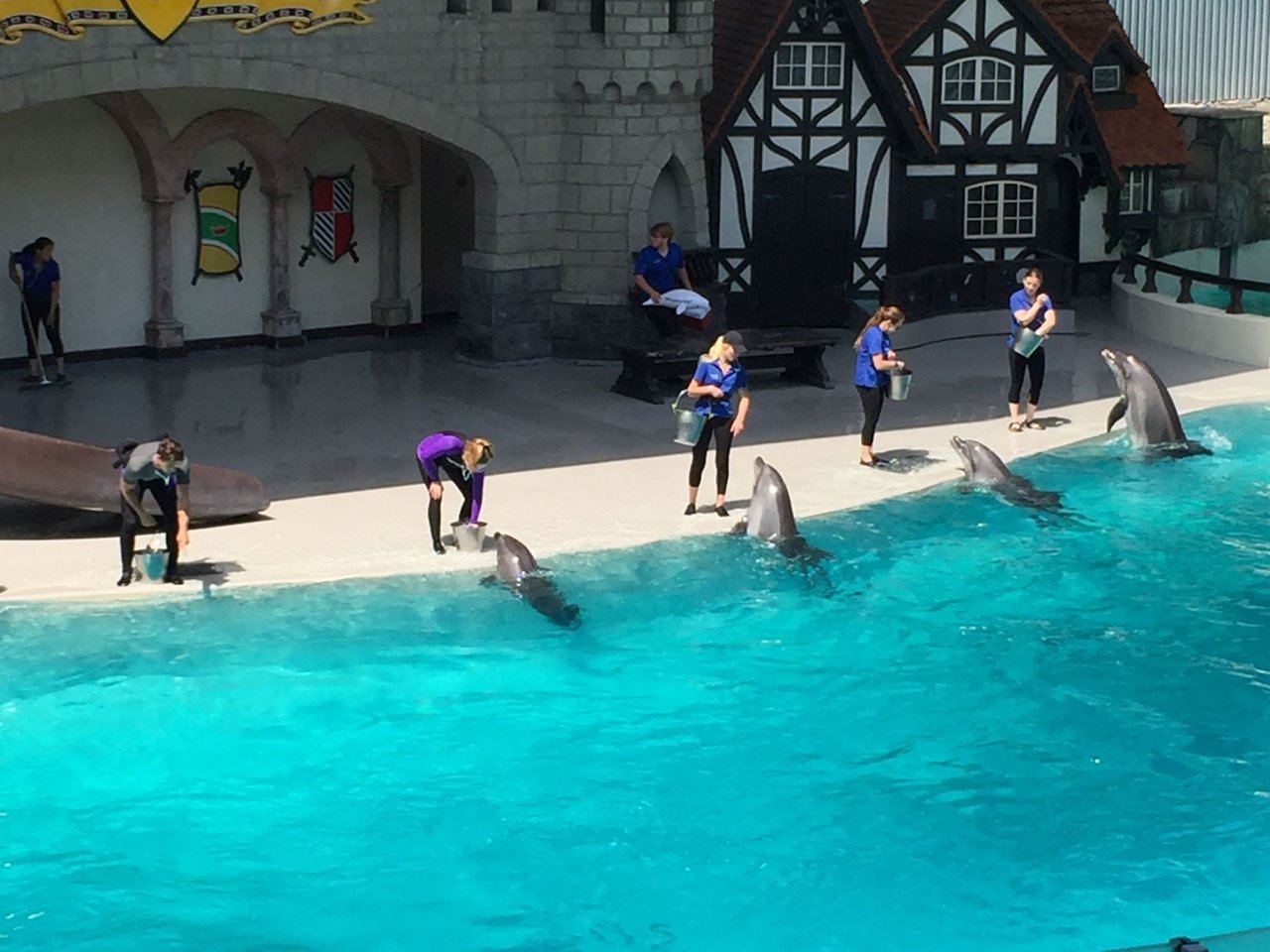 A beluga whale at MarineLand