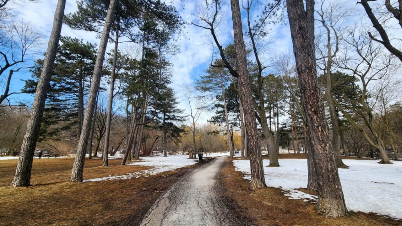 A park path in Toronto