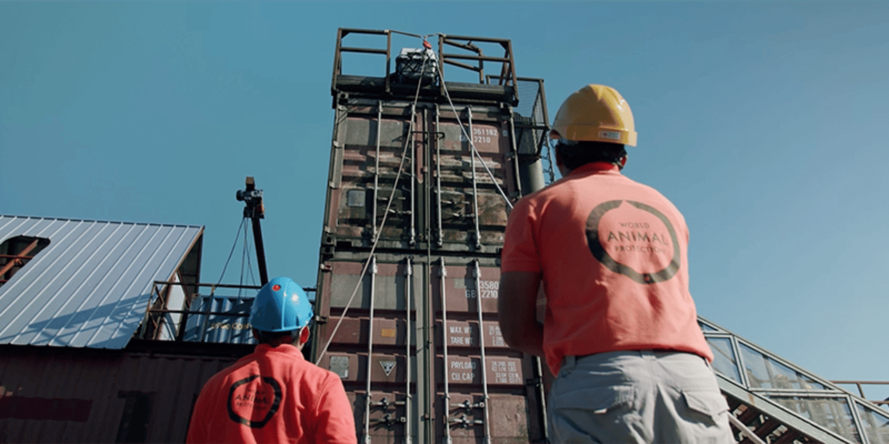 A rescue drill with World Animal Protection Staff