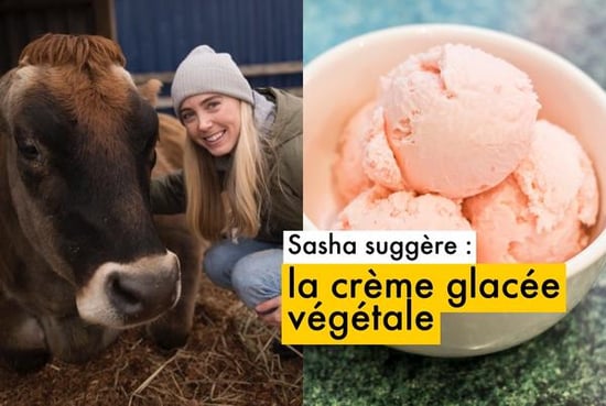 Sasha suggests plant-based icecream