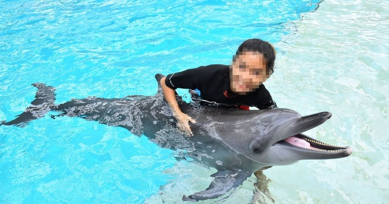 Pictured; A dolphin being used for photo opportunities at Resort World Sentosa, Singapore. Credit Line: World Animal Protection