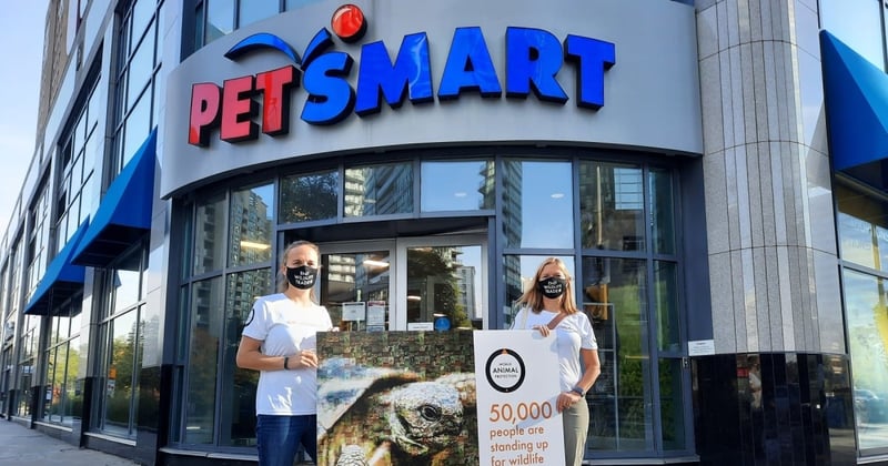 Pictured: Michèle Hamers and Melissa Matlow delivering our petition with 50k signatures to PetSmart