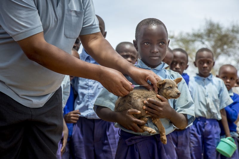 Puppy getting rabies vaccination in Kenya - World Animal Protection