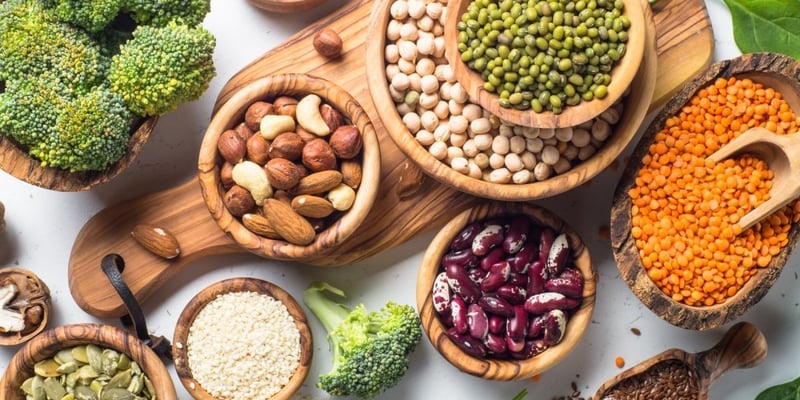 Plant-based protein sources including beans, lentils, and nuts