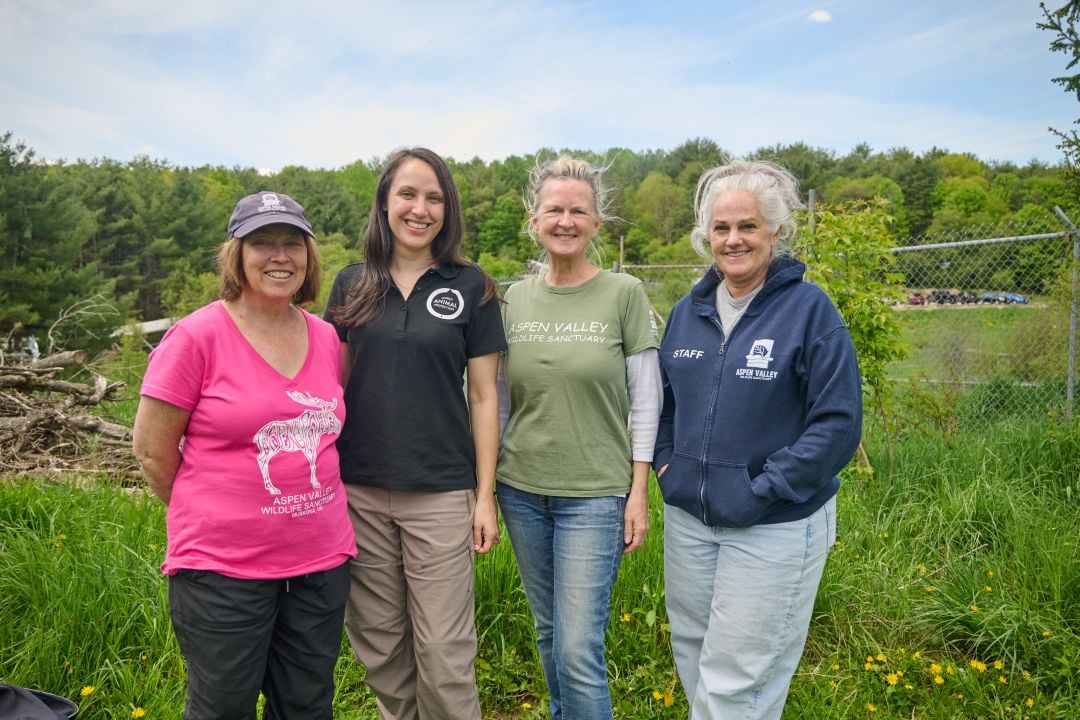 Aspen Valley Wildlife Sanctuary