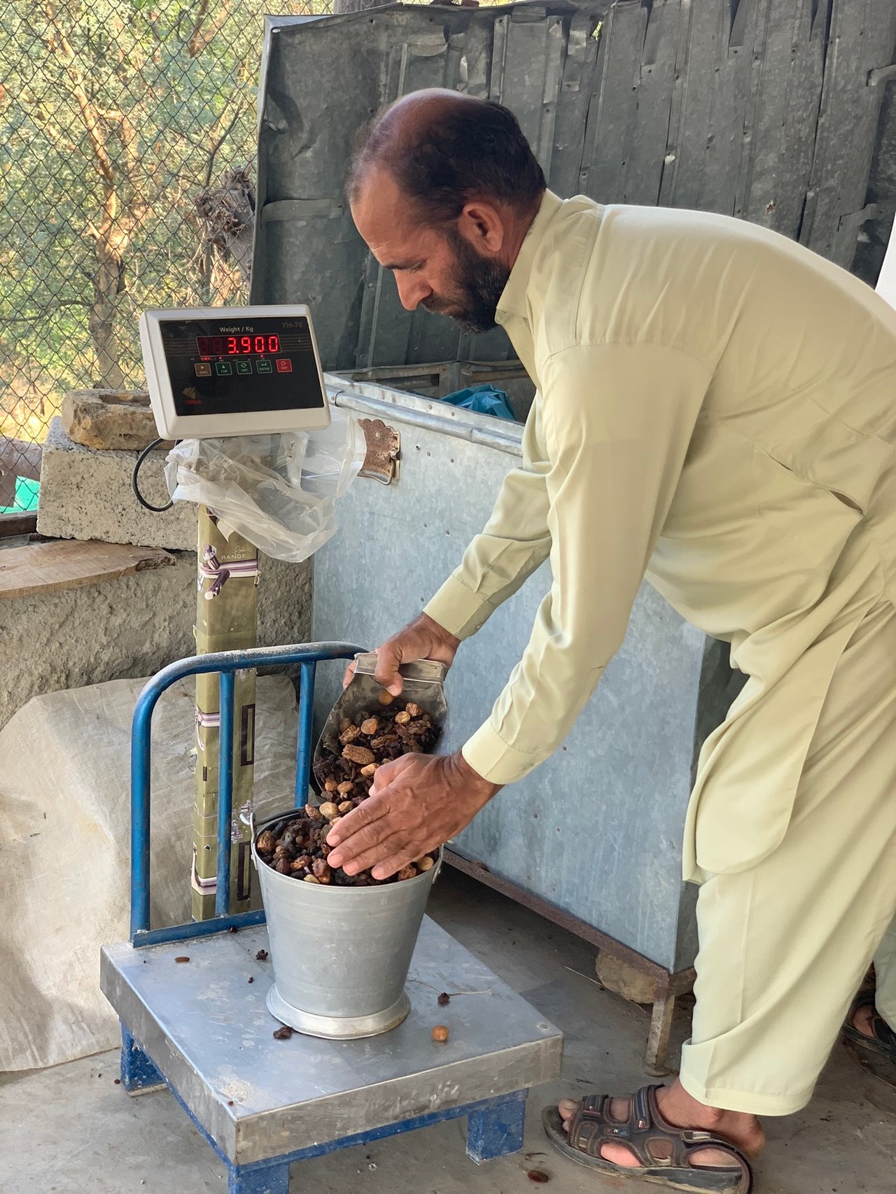 Hazrat Ali filling a bucket with nuts!