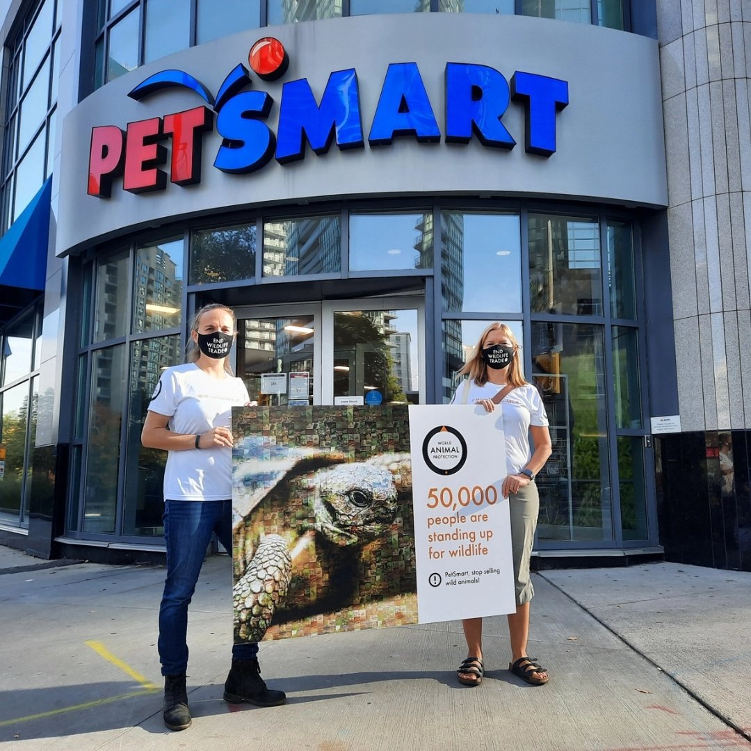 World Animal Protection staff members in front of PetSmart