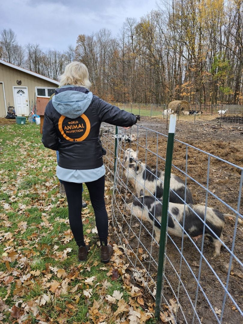 Lynn at a high welfare farm