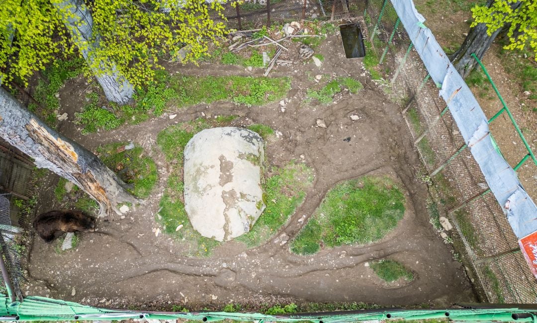 A birds eye view of Baloo's barren enclosure