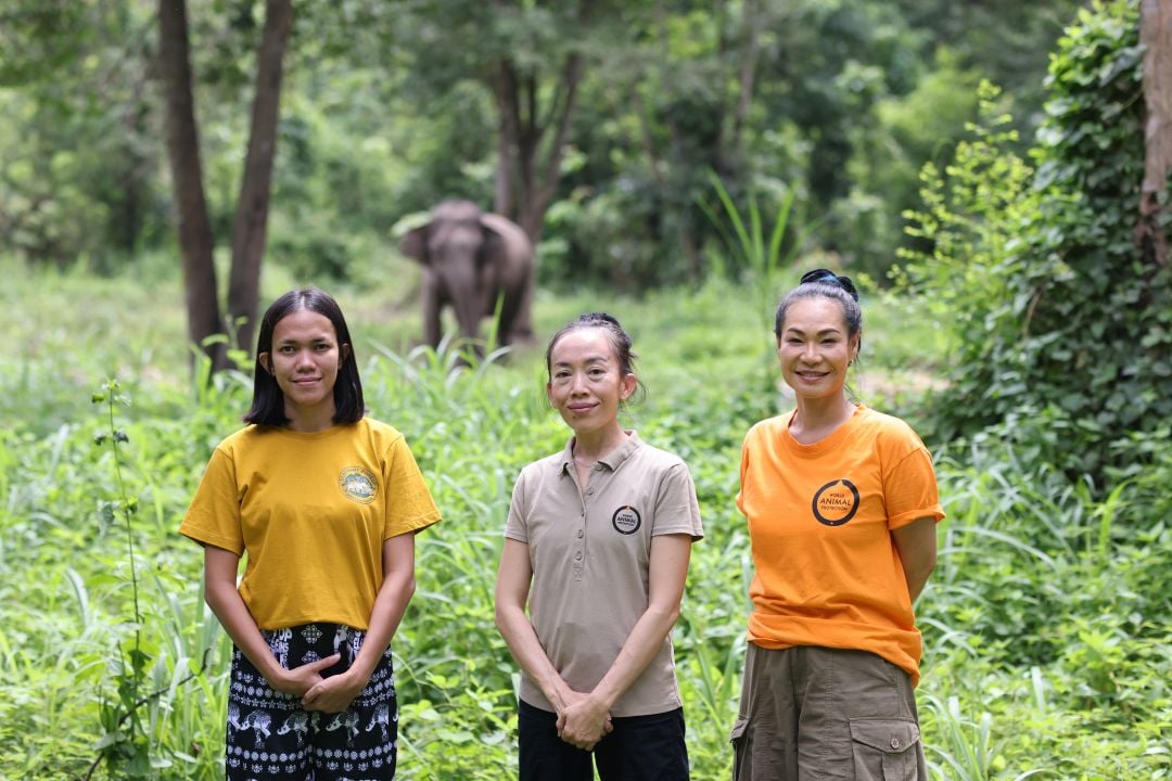 World Animal Protection team at an elephant friendly venue