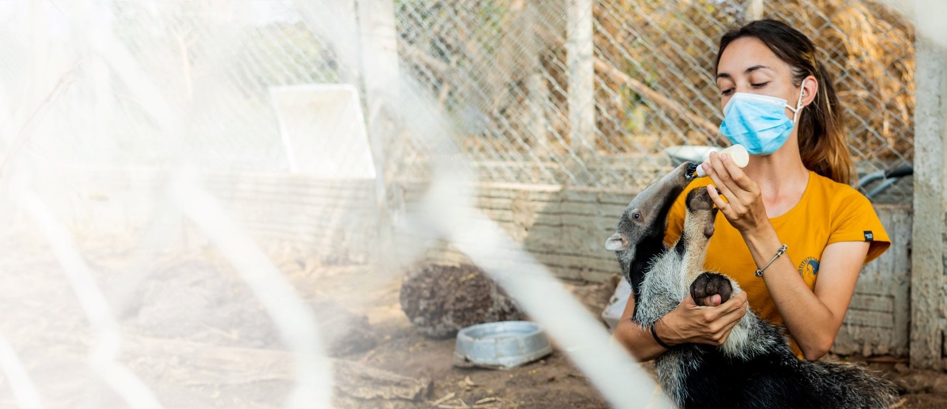 World Animal Protection staff with rescued anteater