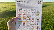 Nature BINGO