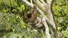 This is big: Together we’ve moved Instagram to help end cruel animal selfies - Wildlife. Not entertainers - World Animal Protection