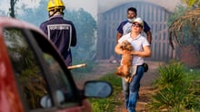 We’re on the ground to help animals affected by Amazon wildfires