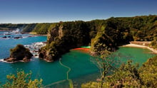 Taiji dolphin hunts