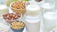 Plant based milk alternatives