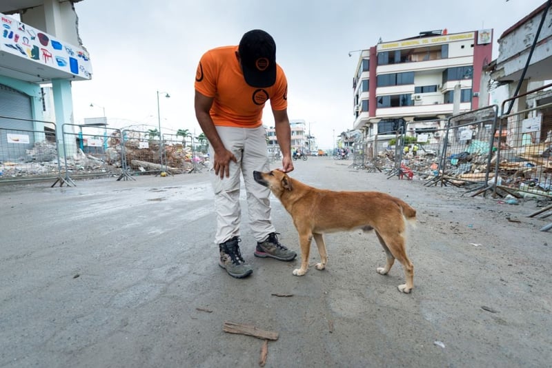 World Animal Protection team on the ground after earthquake in Ecuador.