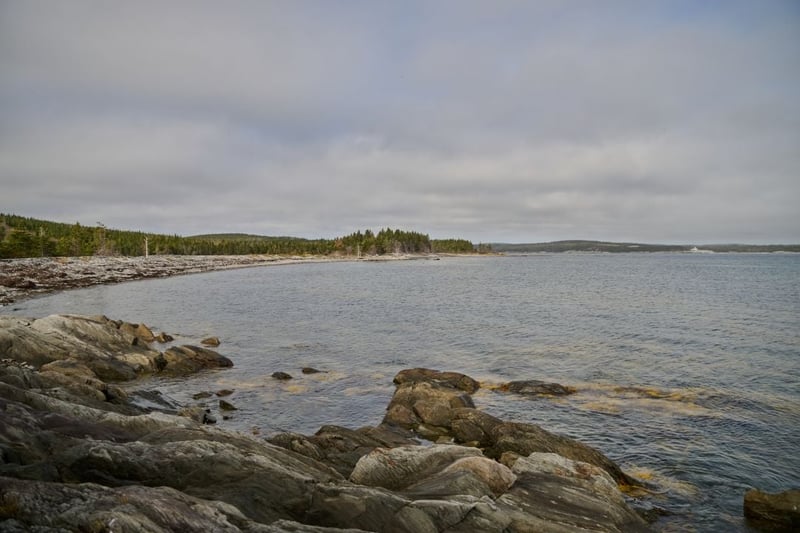 Whale Sanctuary Project site in Port Hilford, Nova Scotia