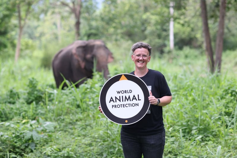 World Animal Protection global CEO Tricia Croasdell at Elephant Forest Phitsanulok (EFP).