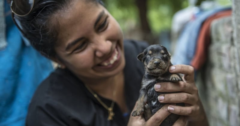 In April 2017, following heavy rains, many parts of Peru were affected by floods and landslides. Photo: World Animal Protection / Ernesto Benavides / AFP