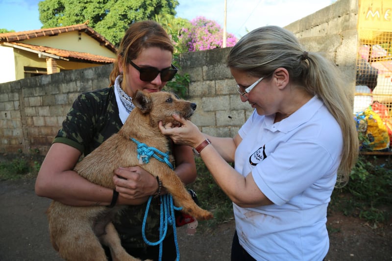 Our Veterinary Programe Manager, Rosangela Ribeiro, with the rescued dog “Laminha”