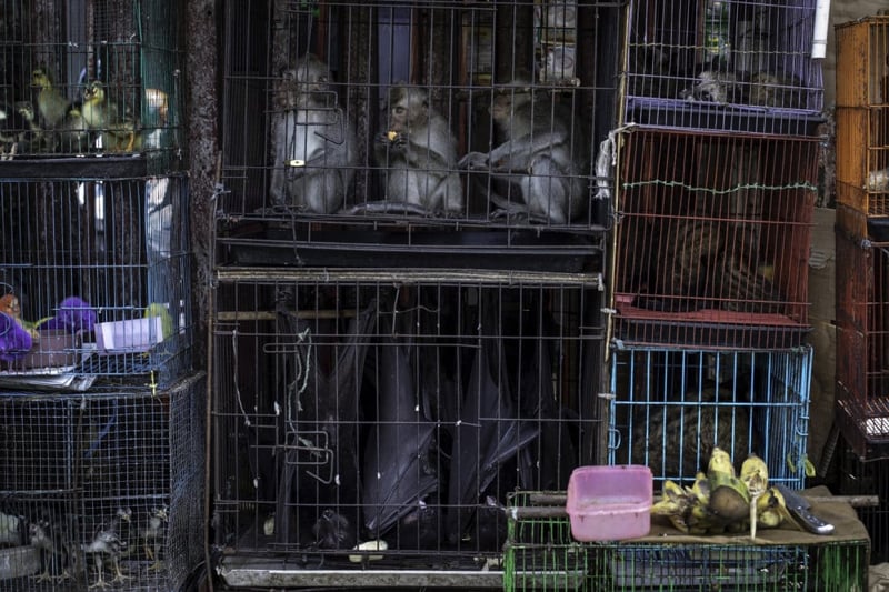 Wet market