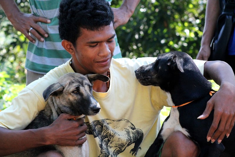 Man with two dogs