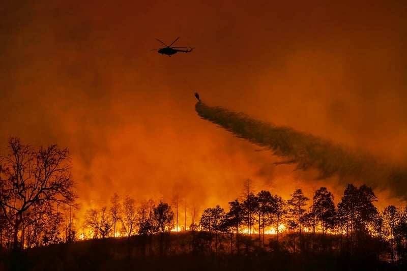 A helicopter fighting a wild fire