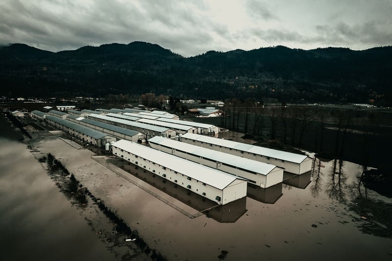 Aerial view of a large chicken farm sitting partially submerged in the flood waters in Abbotsford, BC, 2021.
