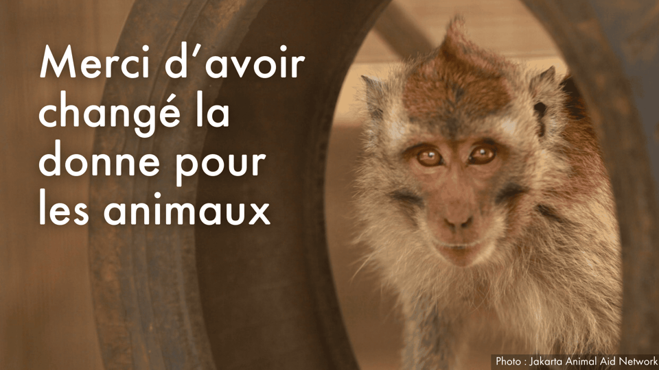 Merci d’avoir changé la donne pour les animaux