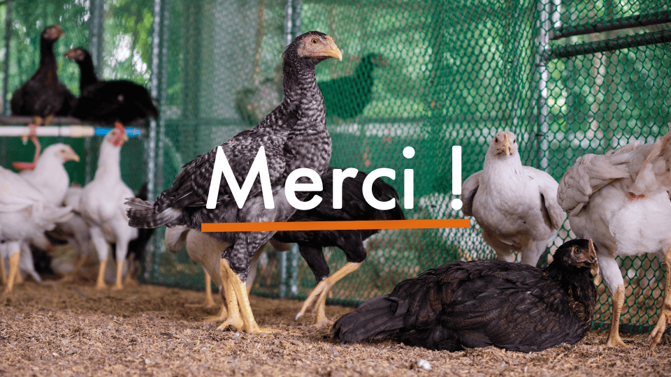 Merci