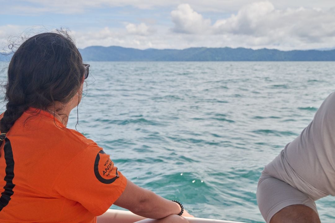 Ester at Golfo Dulce Whale Heritage Area