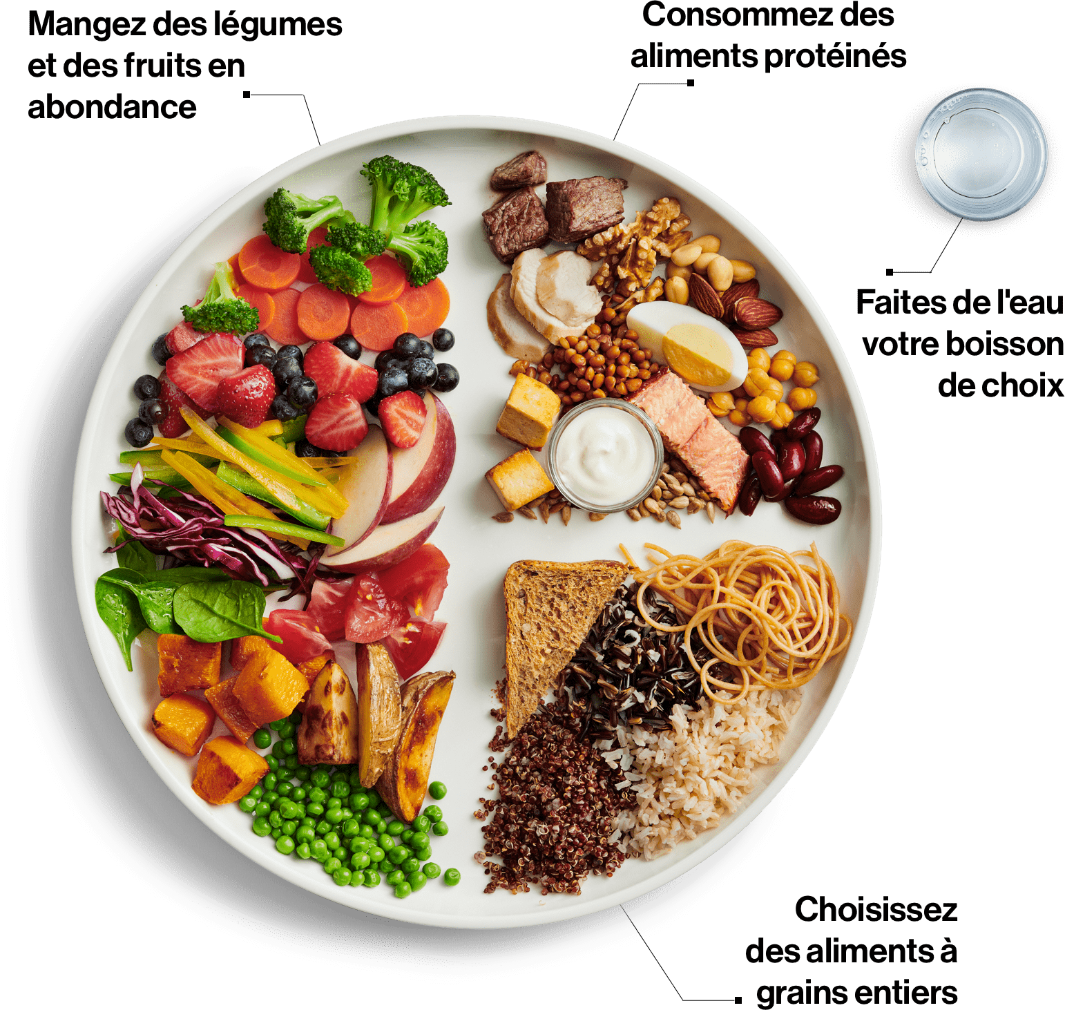 Canada's food guide