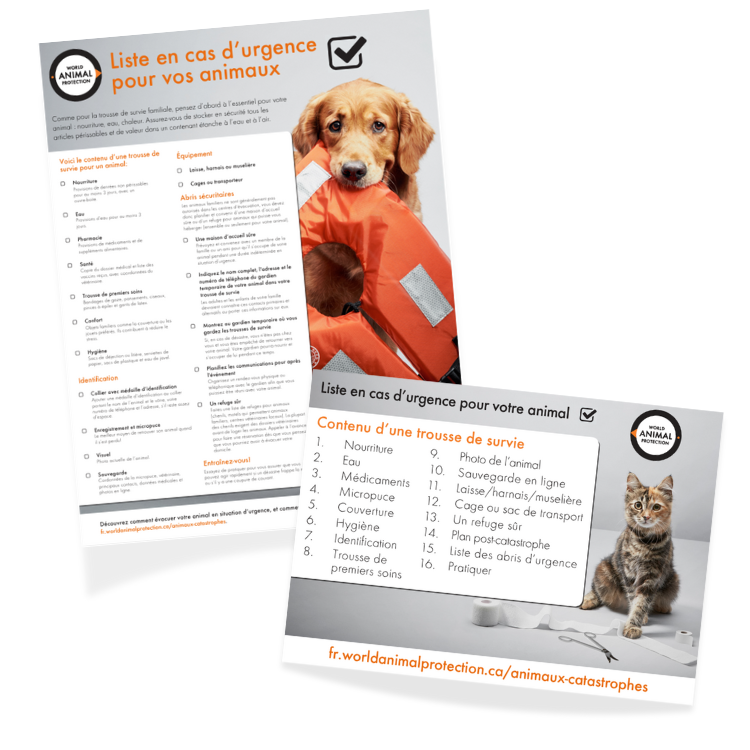 Emergency Checklist