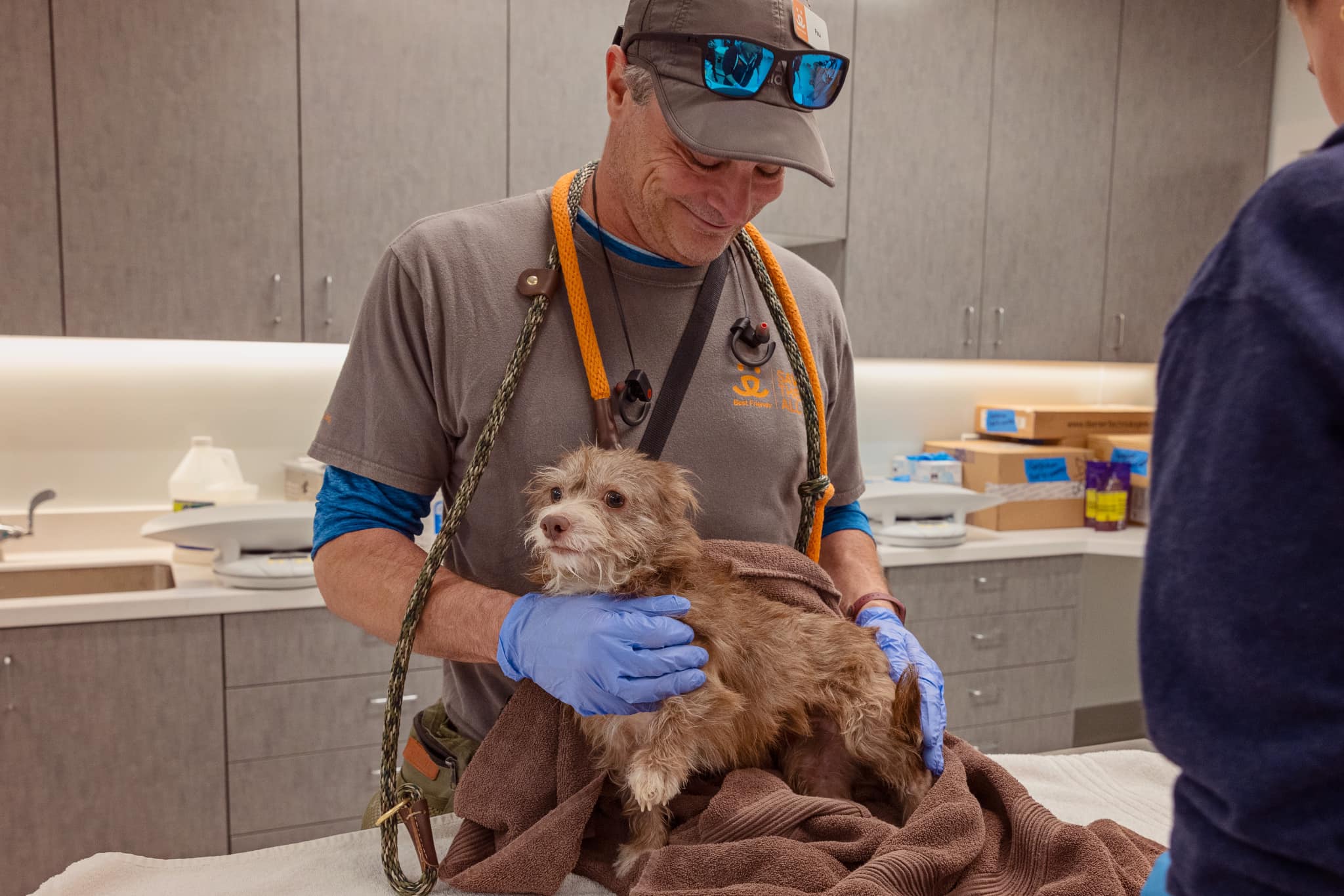 A dog being treated for burns LA wildfire response