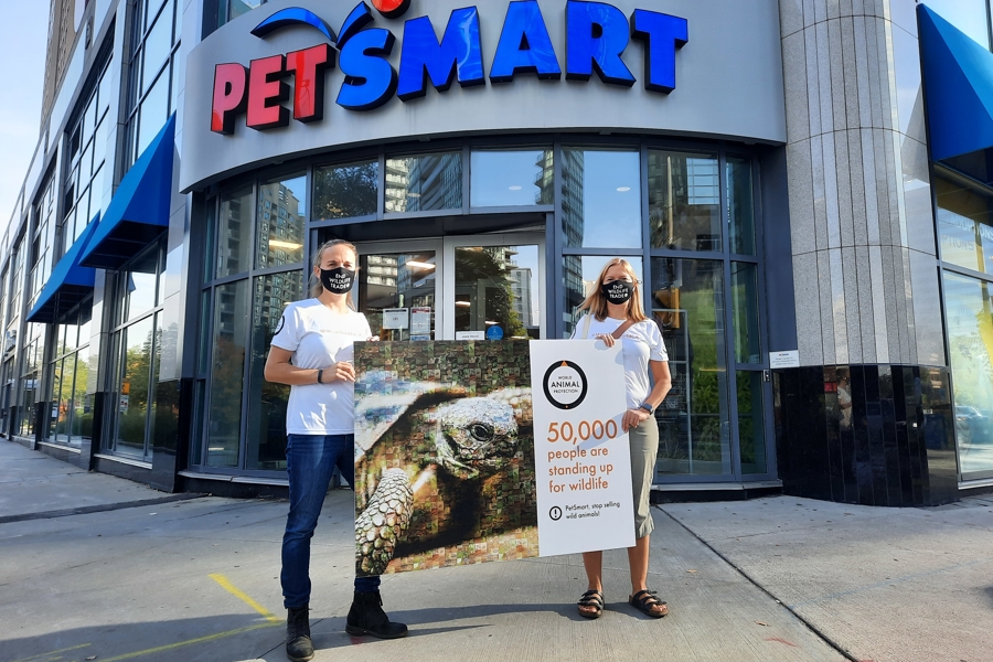 World Animal Protection staff in front of PetSmart