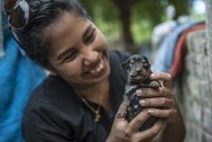 In April 2017, following heavy rains, many parts of Peru were affected by floods and landslides. Photo: World Animal Protection / Ernesto Benavides / AFP