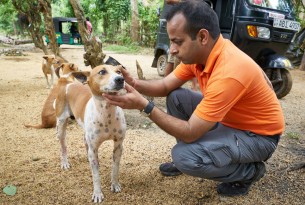 Secours aux milliers d’animaux victimes des inondations et glissements de terrain au Sri Lanka