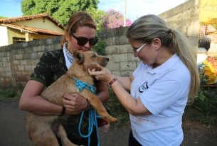 Our Veterinary Programe Manager, Rosangela Ribeiro, with the rescued dog “Laminha”
