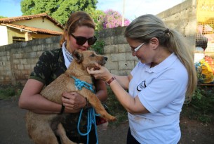 Our Veterinary Programe Manager, Rosangela Ribeiro, with the rescued dog “Laminha”