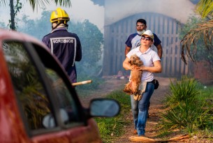 Nous sommes en Amazonie pour aider les animaux touchés par les feux