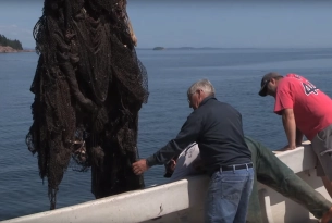 The Fundy North Fishermen's Association works with local fishers to remove ghost gear