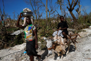 À l’aide de plus de 100 000 animaux en Haïti après l’ouragan Matthew