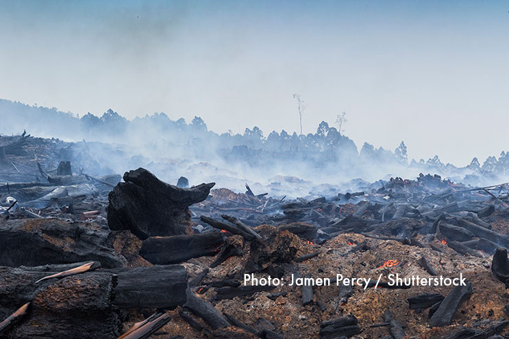 Sur la photo: un feu de brousse qui couve dans l'outback australien. Photo par Jamen Percy / Shutterstock.