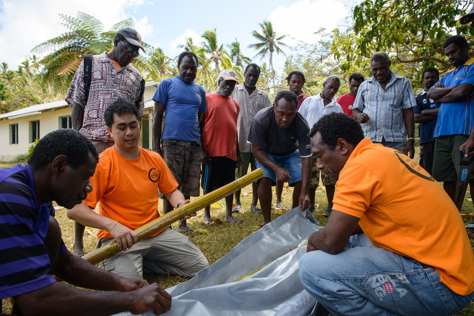 Cyclone Pam: Vanuatu shaken but not defeated