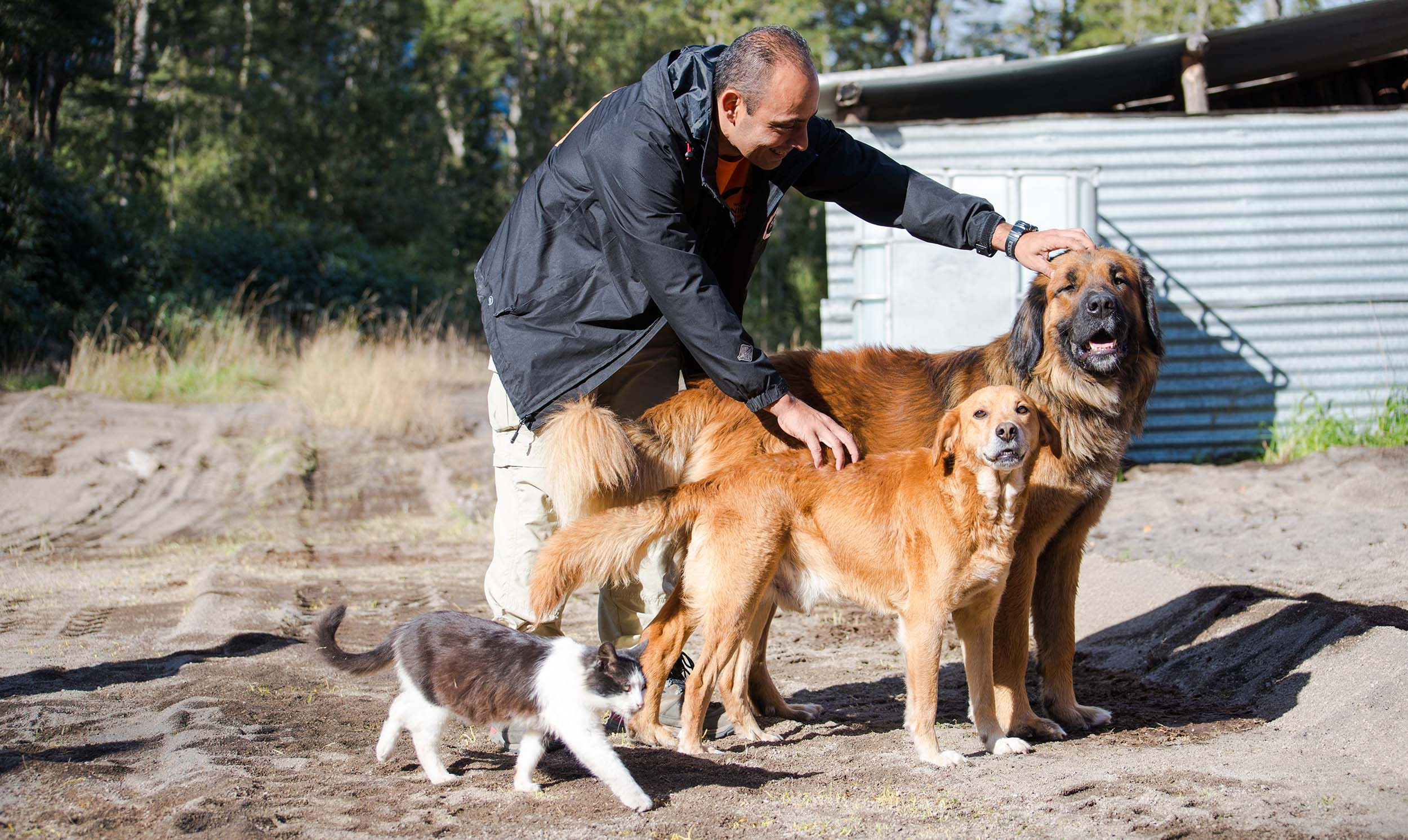 World Animal Protectoin's Sergio Vasquez is part of the disaster response team helping animals affected by the Calbuco Vocano eruption in Chile.