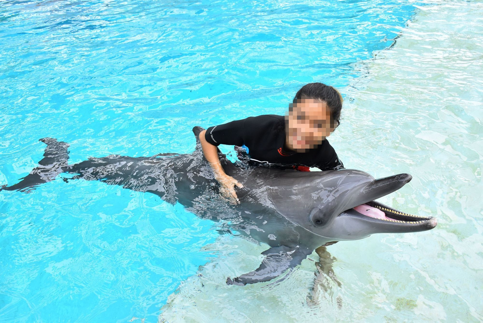 Dolphin in captivity at an entertainment venue