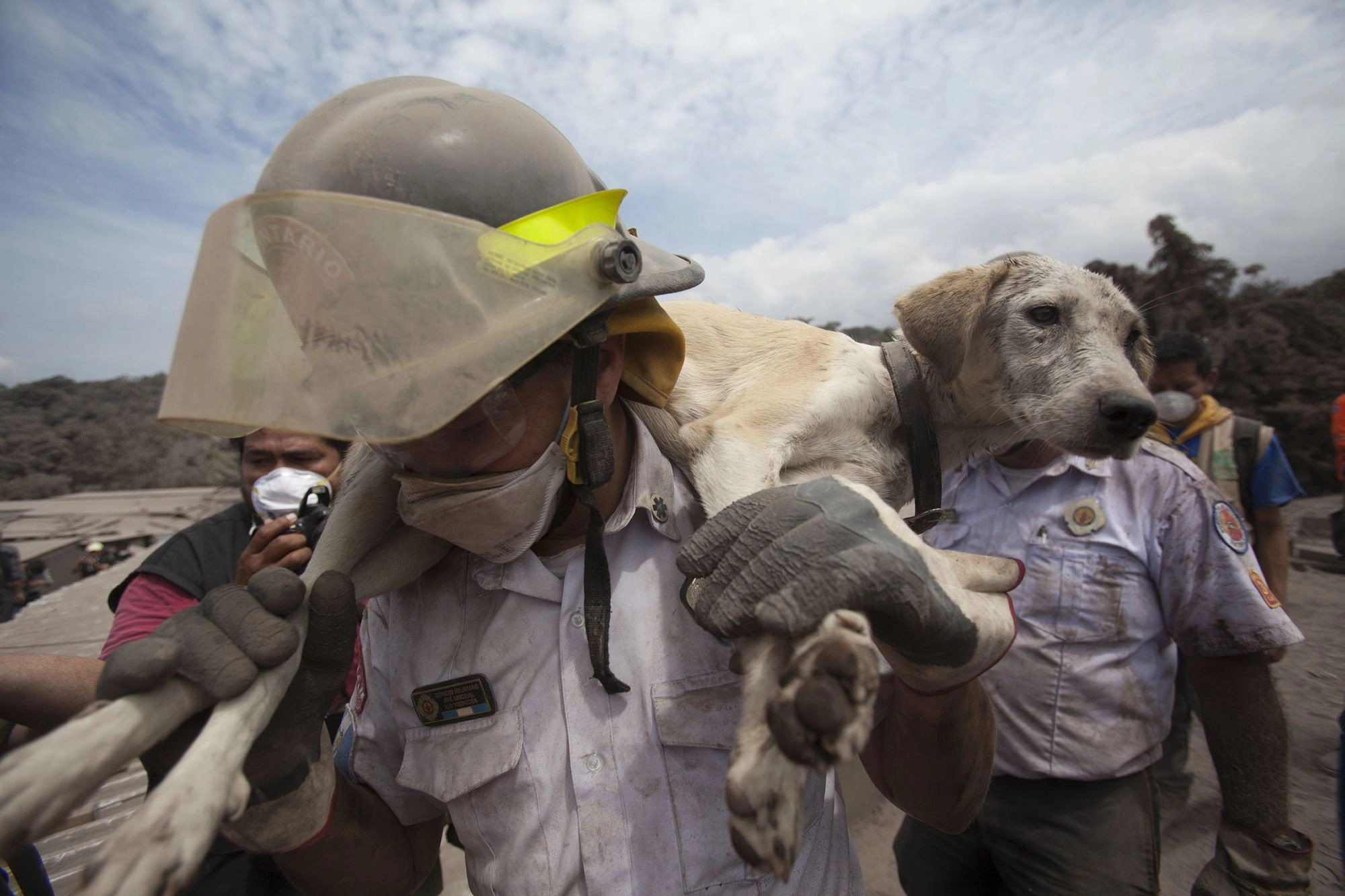 A volunteer firefighter rescues a dog from the disaster zone near the Volcan de Fuego. Photo: AP Photo/Moises Castillo