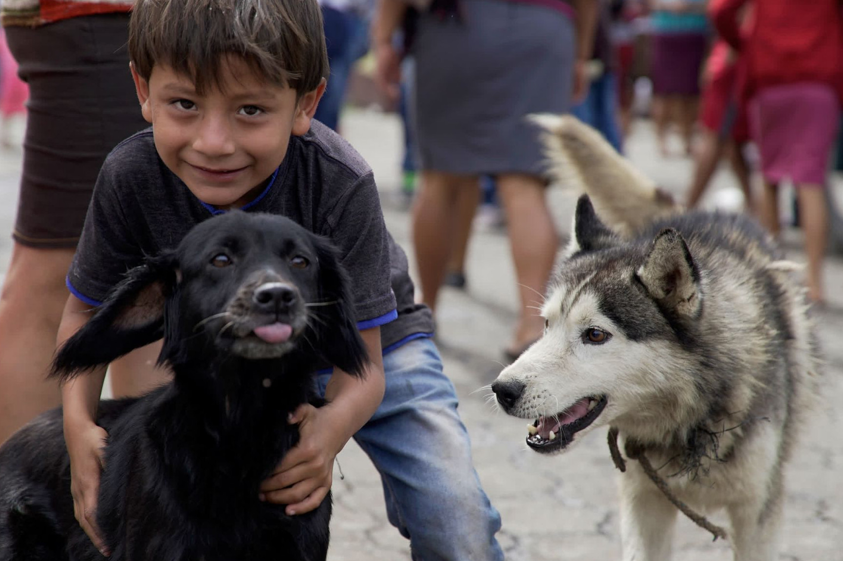 Garoto com dois cães após a erupção do vulcão na Guatemala - 2018 - World Animal Protection